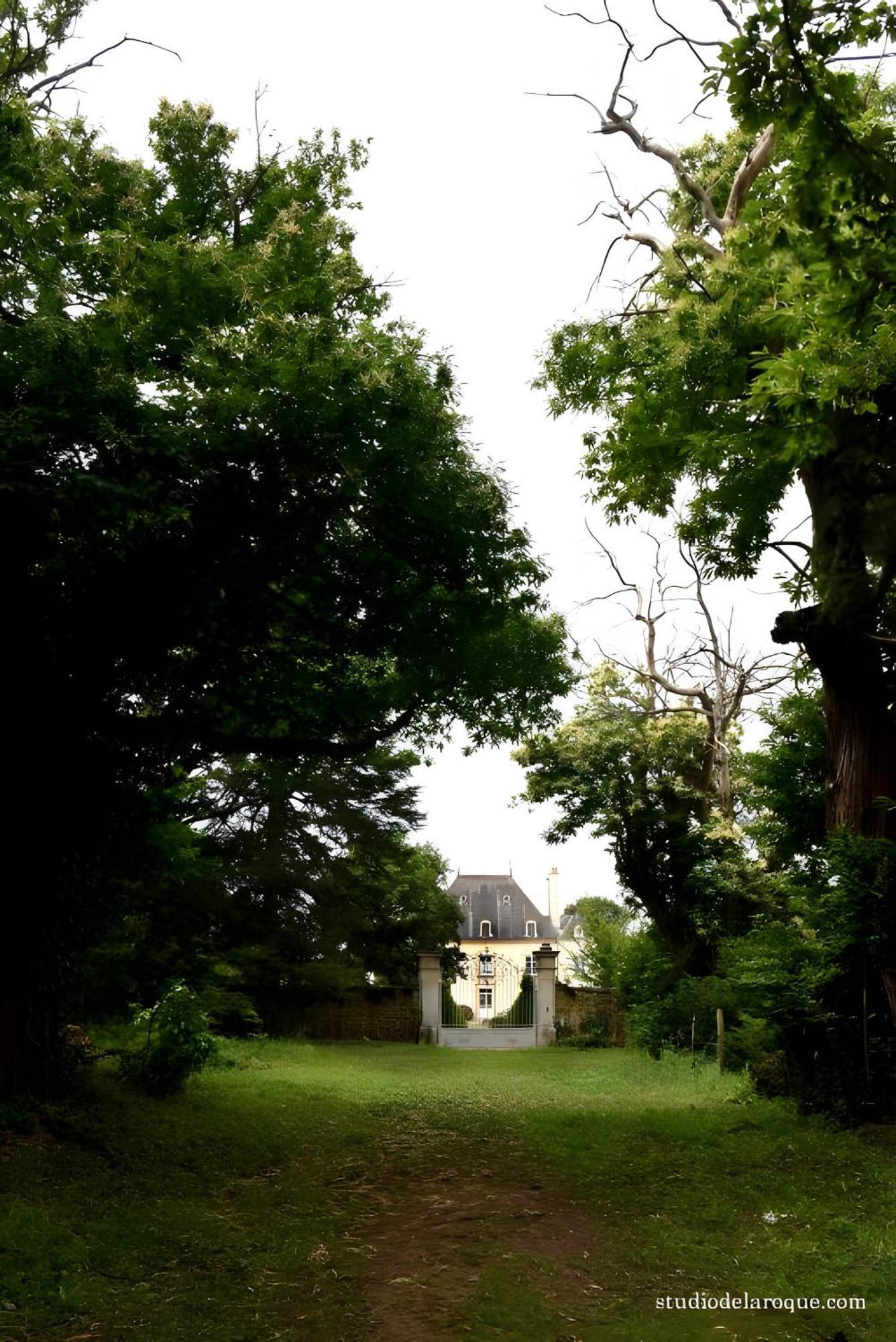 مبيت وإفطار Sanxay Domaine De La Briouse المظهر الخارجي الصورة