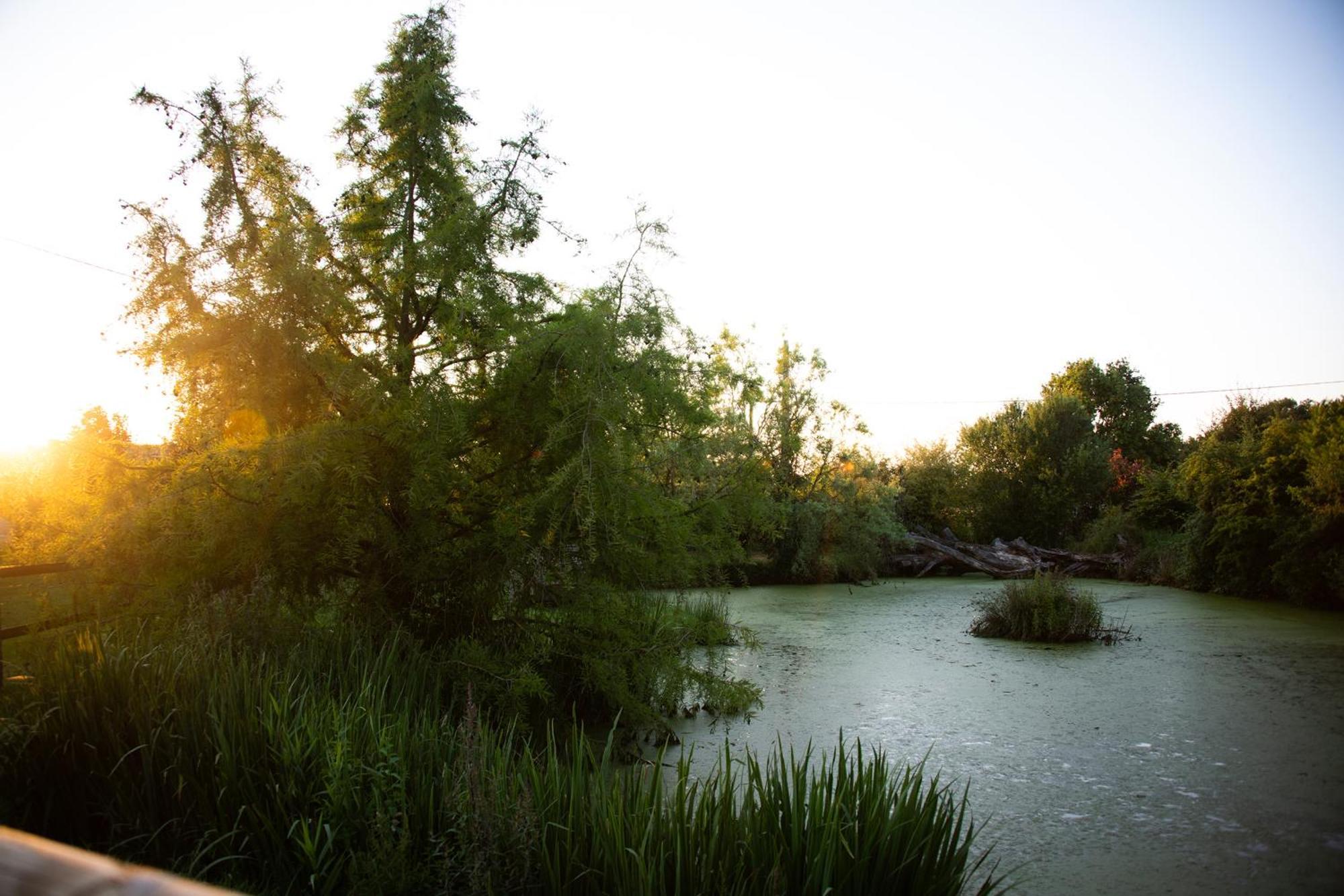 مبيت وإفطار Sanxay Domaine De La Briouse المظهر الخارجي الصورة