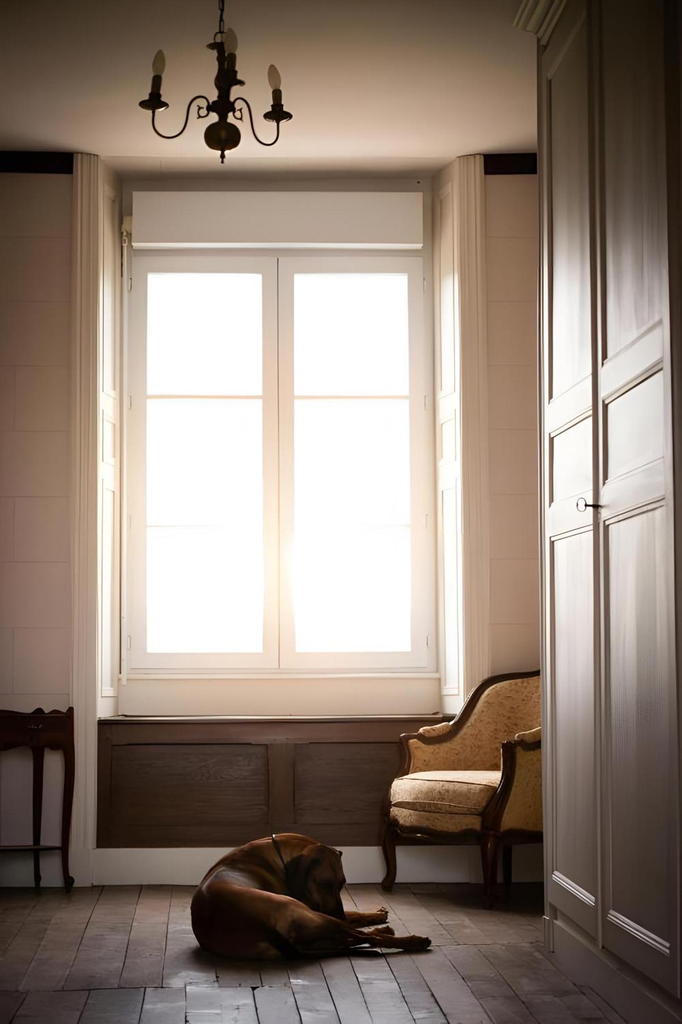 مبيت وإفطار Sanxay Domaine De La Briouse المظهر الخارجي الصورة