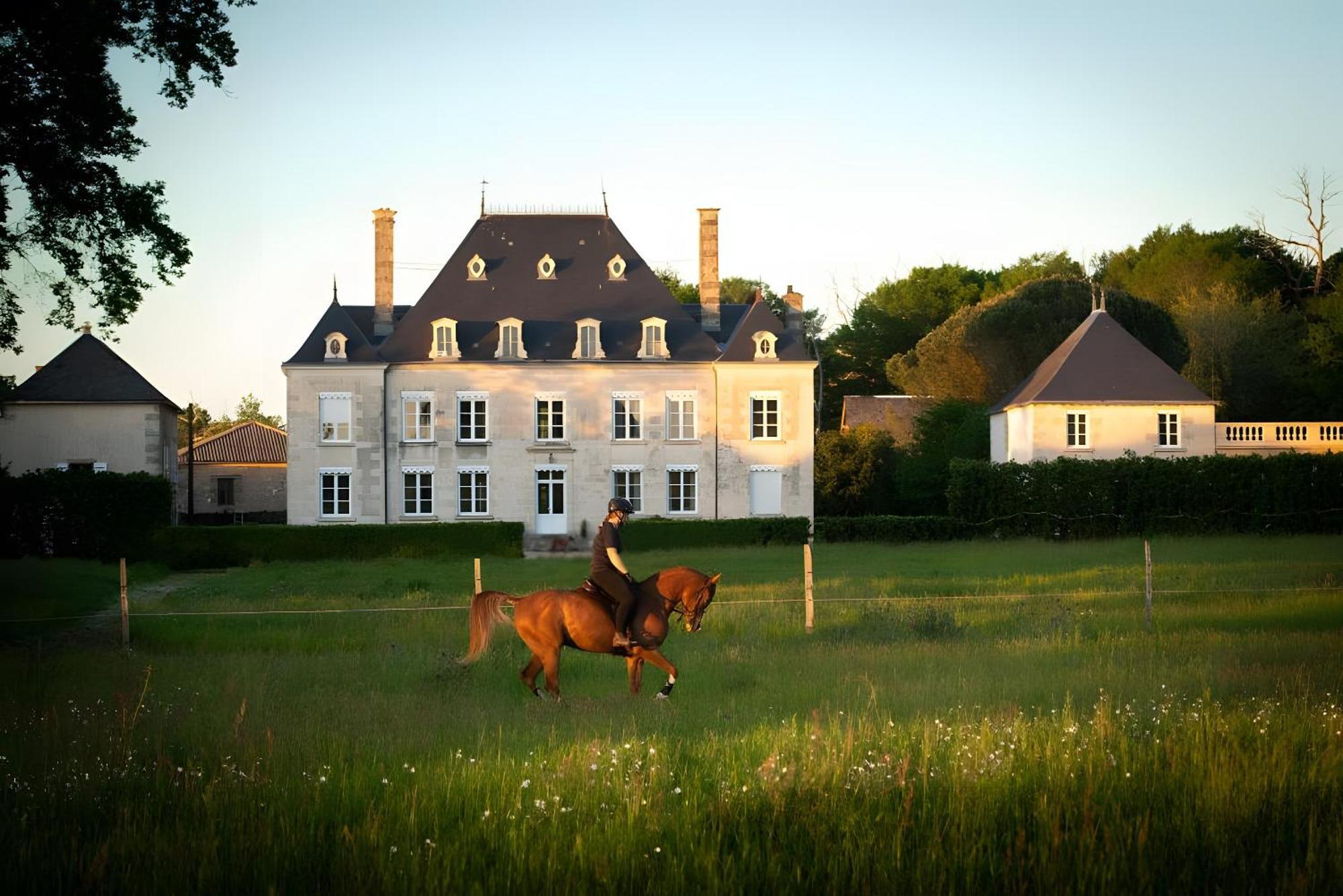 مبيت وإفطار Sanxay Domaine De La Briouse المظهر الخارجي الصورة